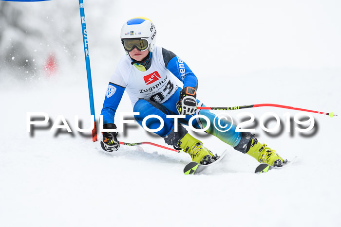 Werdenfelser Kinderskitag. mit Ziener und BZB Cup 2019