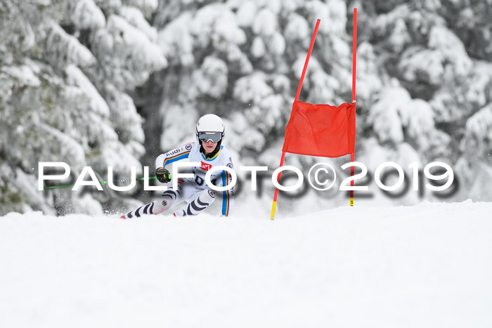 Werdenfelser Kinderskitag. mit Ziener und BZB Cup 2019