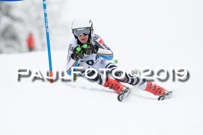 Werdenfelser Kinderskitag. mit Ziener und BZB Cup 2019