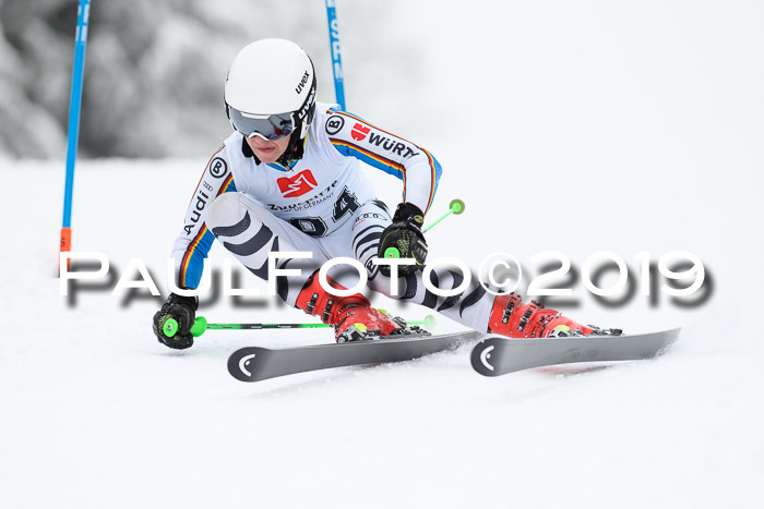 Werdenfelser Kinderskitag. mit Ziener und BZB Cup 2019