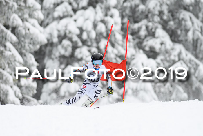 Werdenfelser Kinderskitag. mit Ziener und BZB Cup 2019