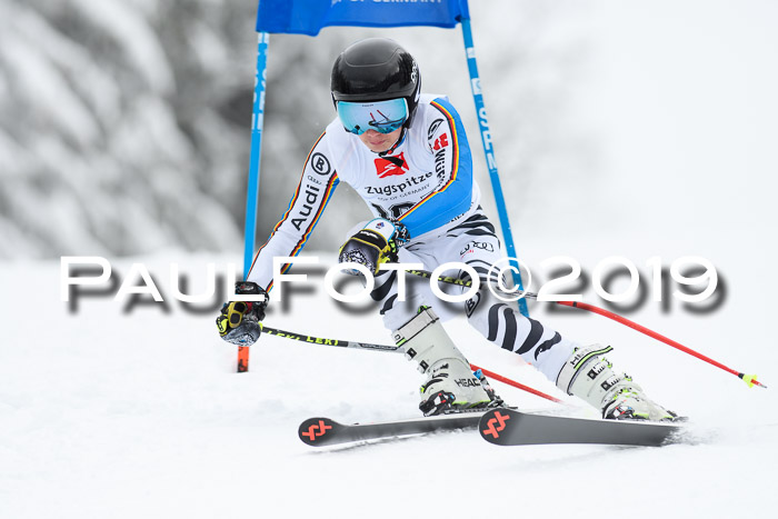 Werdenfelser Kinderskitag. mit Ziener und BZB Cup 2019