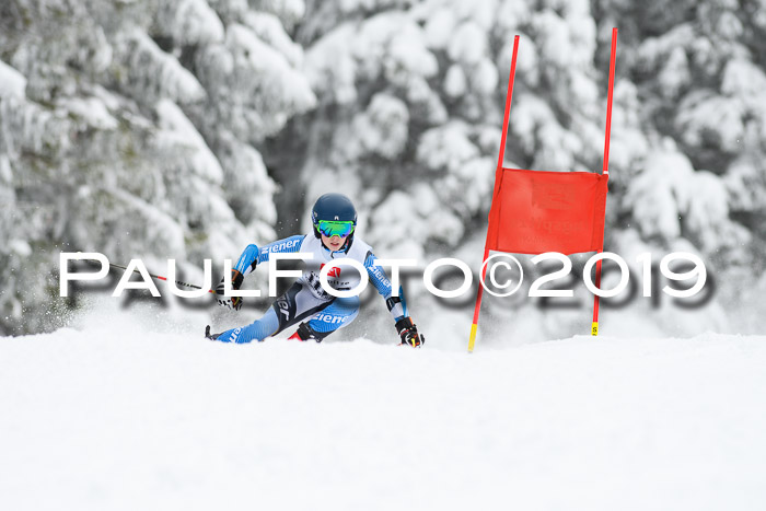 Werdenfelser Kinderskitag. mit Ziener und BZB Cup 2019