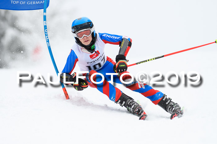 Werdenfelser Kinderskitag. mit Ziener und BZB Cup 2019