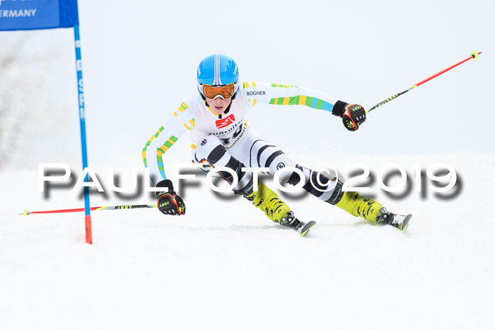 Werdenfelser Kinderskitag. mit Ziener und BZB Cup 2019