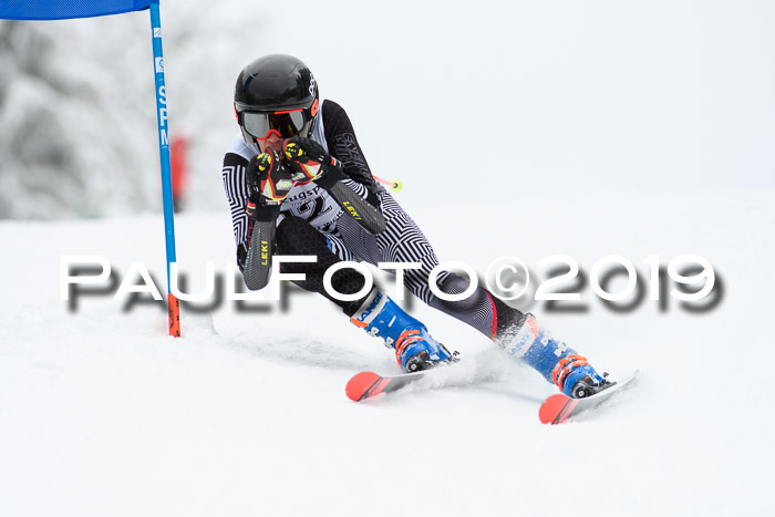 Werdenfelser Kinderskitag. mit Ziener und BZB Cup 2019