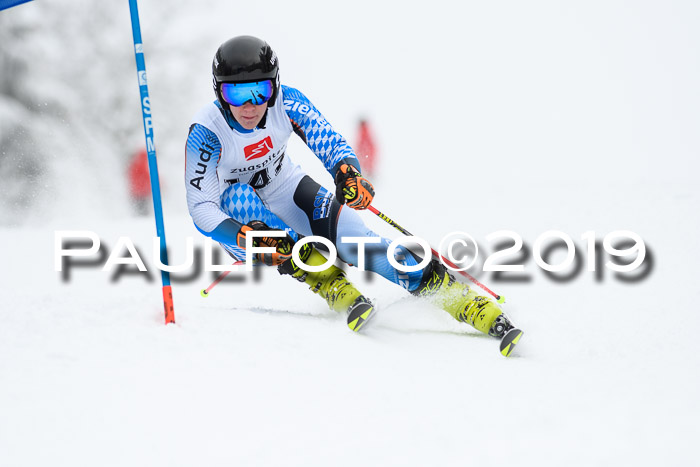 Werdenfelser Kinderskitag. mit Ziener und BZB Cup 2019