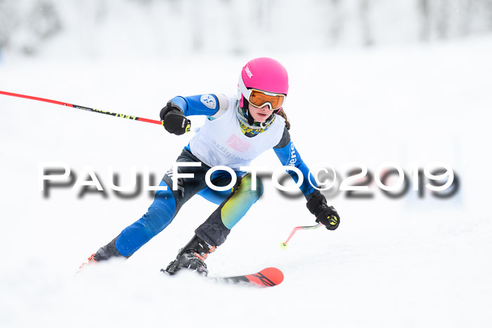 Werdenfelser Kinderskitag. mit Ziener und BZB Cup 2019