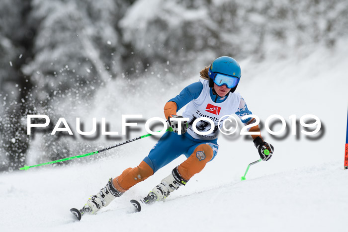 Werdenfelser Kinderskitag. mit Ziener und BZB Cup 2019