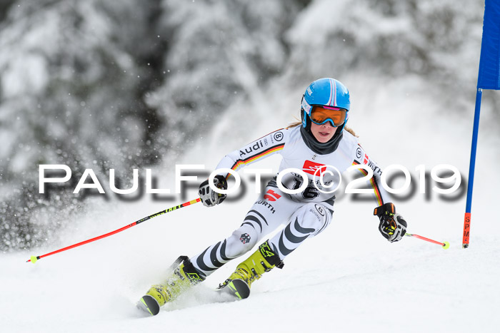 Werdenfelser Kinderskitag. mit Ziener und BZB Cup 2019