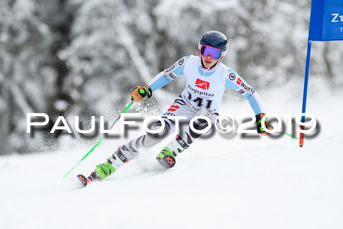 Werdenfelser Kinderskitag. mit Ziener und BZB Cup 2019