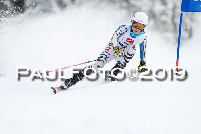 Werdenfelser Kinderskitag. mit Ziener und BZB Cup 2019