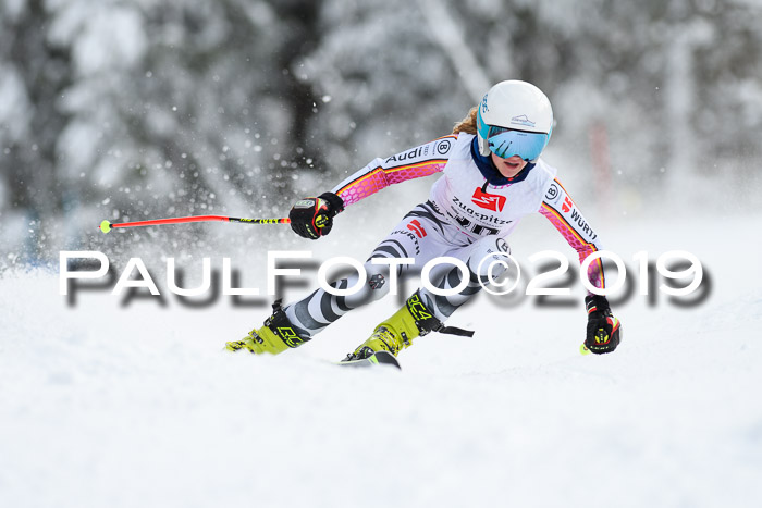 Werdenfelser Kinderskitag. mit Ziener und BZB Cup 2019