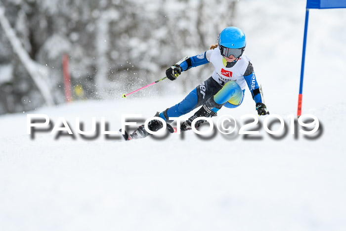 Werdenfelser Kinderskitag. mit Ziener und BZB Cup 2019