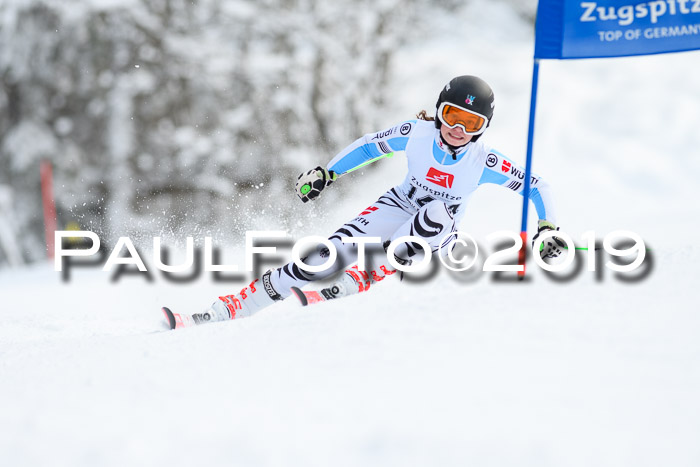 Werdenfelser Kinderskitag. mit Ziener und BZB Cup 2019