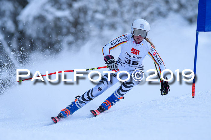 Werdenfelser Kinderskitag. mit Ziener und BZB Cup 2019