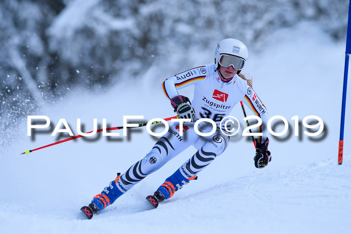 Werdenfelser Kinderskitag. mit Ziener und BZB Cup 2019