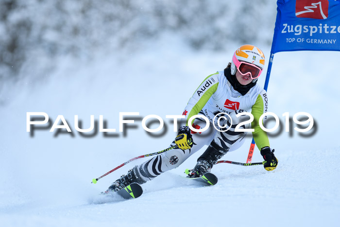 Werdenfelser Kinderskitag. mit Ziener und BZB Cup 2019