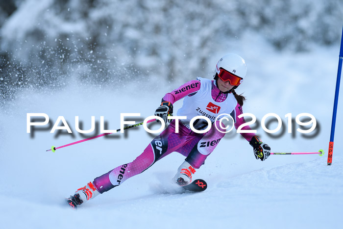 Werdenfelser Kinderskitag. mit Ziener und BZB Cup 2019