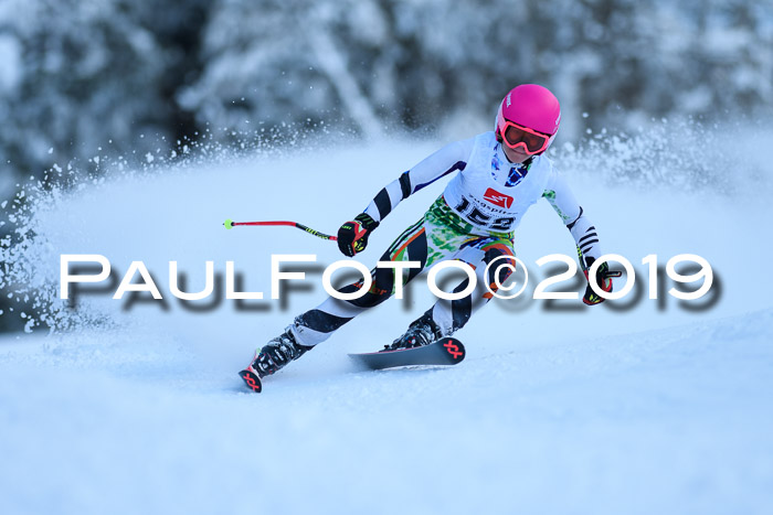 Werdenfelser Kinderskitag. mit Ziener und BZB Cup 2019