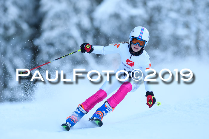 Werdenfelser Kinderskitag. mit Ziener und BZB Cup 2019