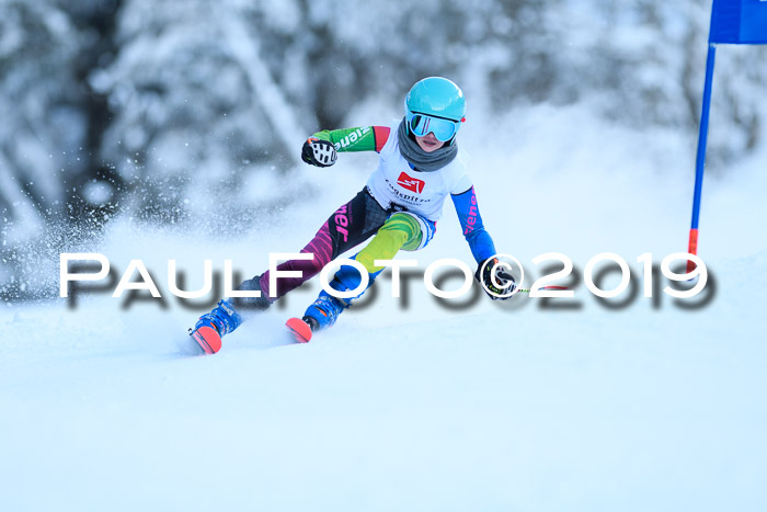 Werdenfelser Kinderskitag. mit Ziener und BZB Cup 2019