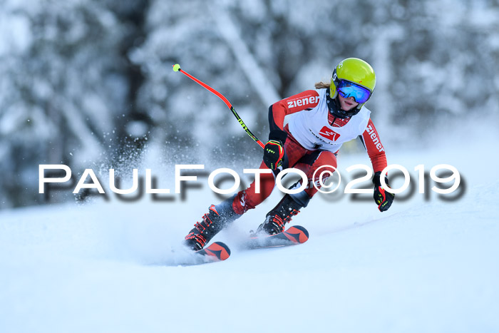 Werdenfelser Kinderskitag. mit Ziener und BZB Cup 2019