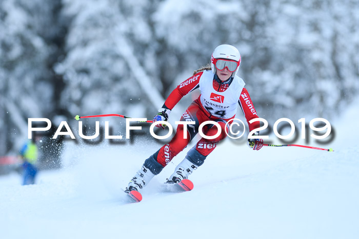 Werdenfelser Kinderskitag. mit Ziener und BZB Cup 2019