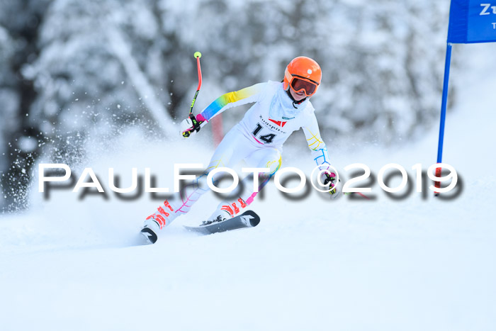 Werdenfelser Kinderskitag. mit Ziener und BZB Cup 2019