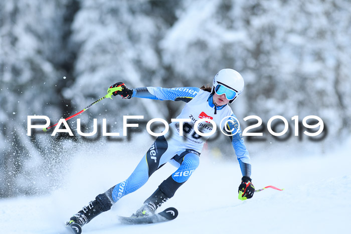 Werdenfelser Kinderskitag. mit Ziener und BZB Cup 2019