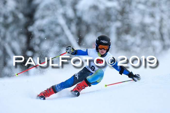 Werdenfelser Kinderskitag. mit Ziener und BZB Cup 2019