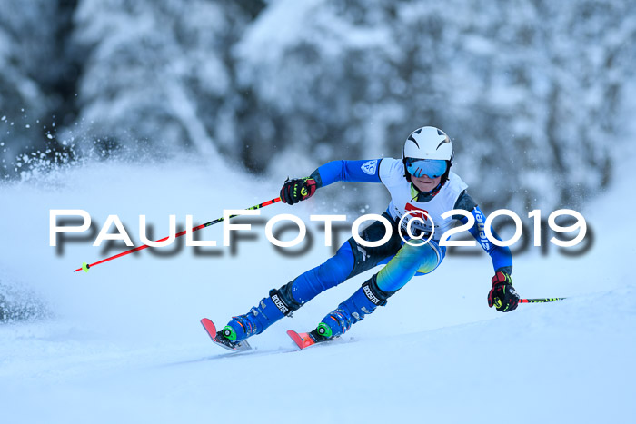 Werdenfelser Kinderskitag. mit Ziener und BZB Cup 2019