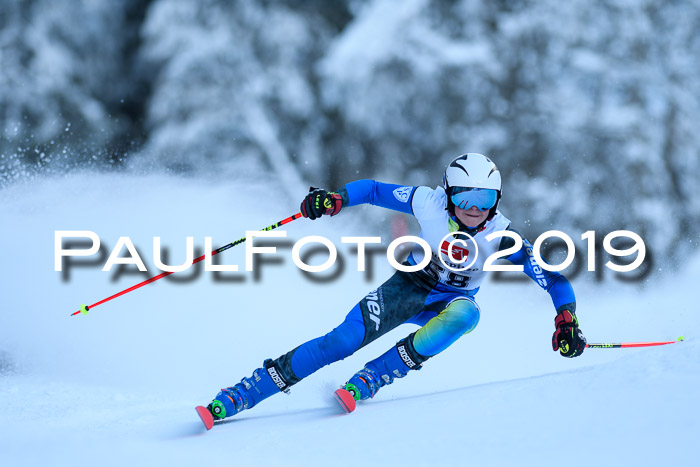 Werdenfelser Kinderskitag. mit Ziener und BZB Cup 2019