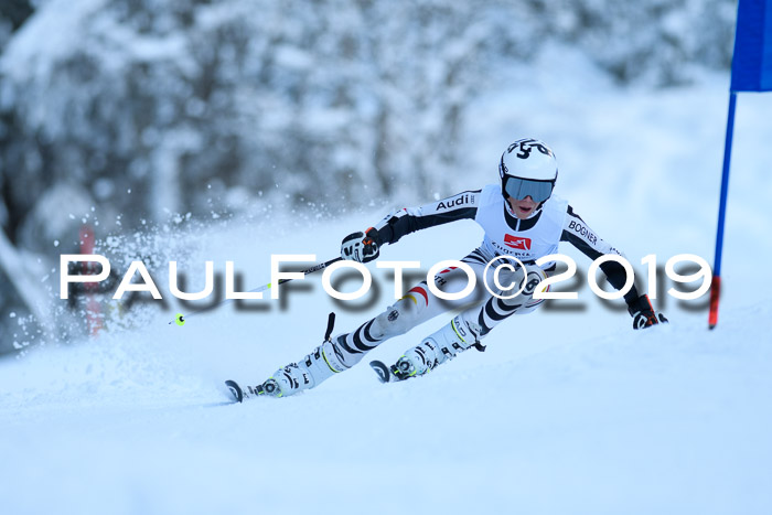 Werdenfelser Kinderskitag. mit Ziener und BZB Cup 2019