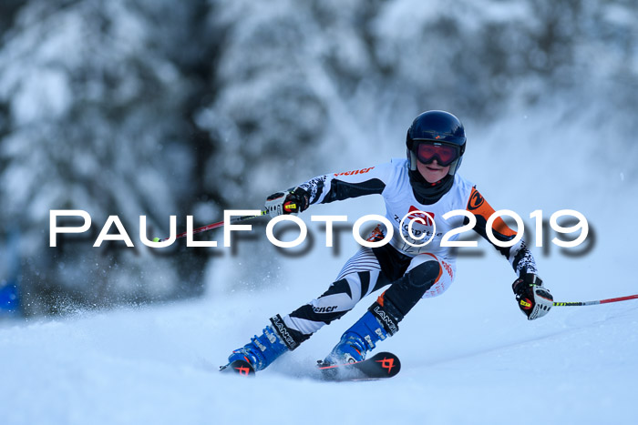 Werdenfelser Kinderskitag. mit Ziener und BZB Cup 2019