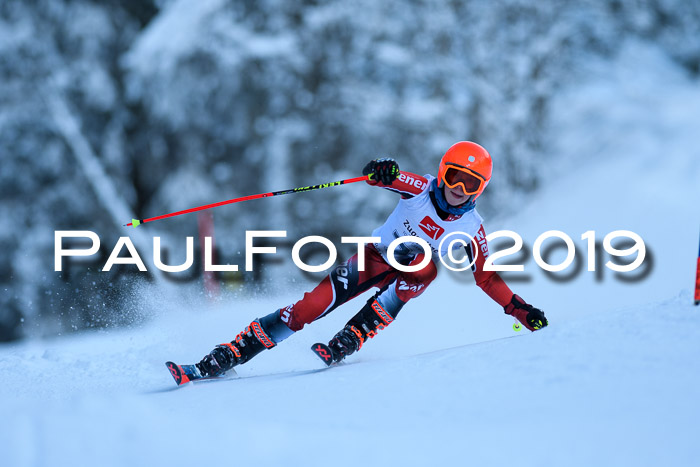 Werdenfelser Kinderskitag. mit Ziener und BZB Cup 2019