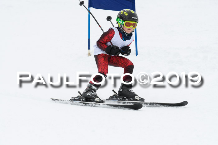 Werdenfelser Kinderskitag. mit Ziener und BZB Cup 2019