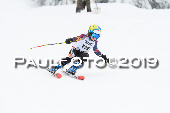 Werdenfelser Kinderskitag. mit Ziener und BZB Cup 2019