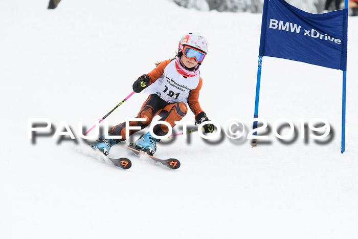 Werdenfelser Kinderskitag. mit Ziener und BZB Cup 2019