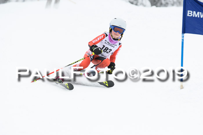 Werdenfelser Kinderskitag. mit Ziener und BZB Cup 2019