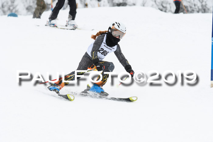 Werdenfelser Kinderskitag. mit Ziener und BZB Cup 2019