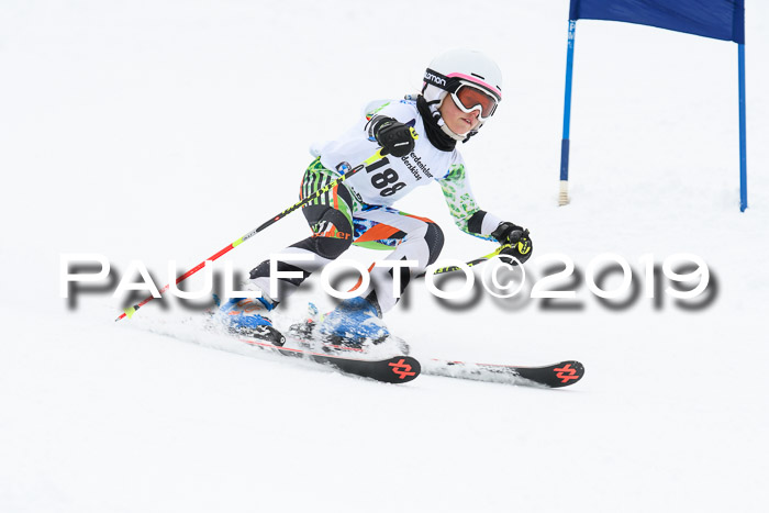 Werdenfelser Kinderskitag. mit Ziener und BZB Cup 2019