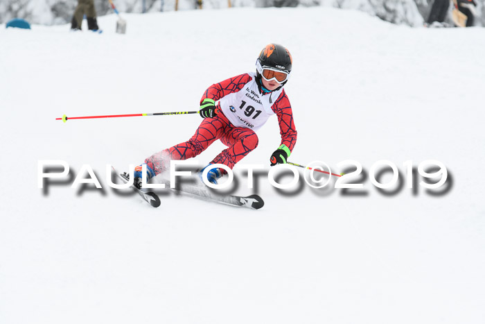 Werdenfelser Kinderskitag. mit Ziener und BZB Cup 2019