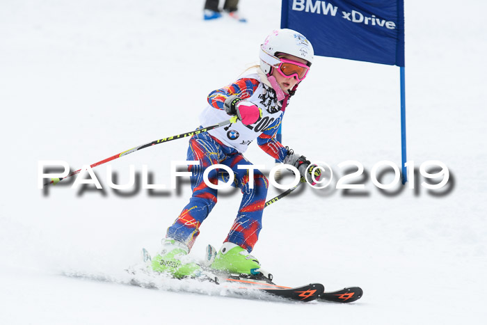 Werdenfelser Kinderskitag. mit Ziener und BZB Cup 2019