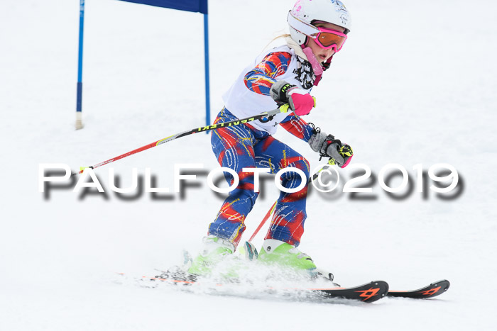 Werdenfelser Kinderskitag. mit Ziener und BZB Cup 2019