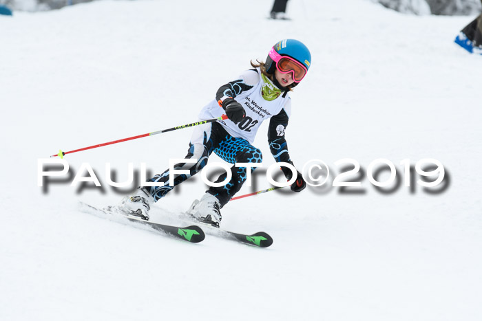 Werdenfelser Kinderskitag. mit Ziener und BZB Cup 2019