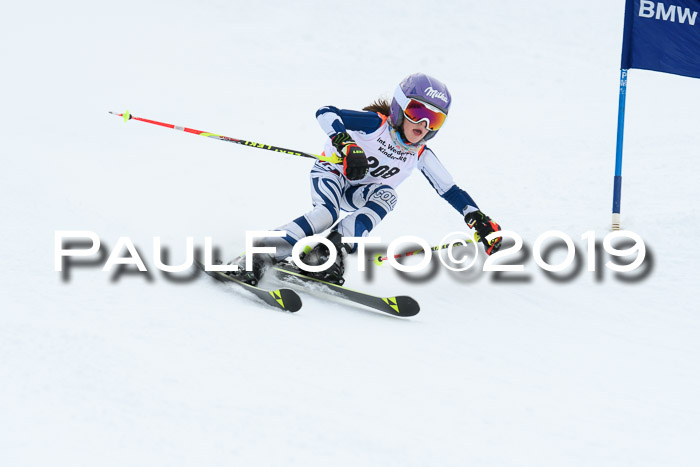 Werdenfelser Kinderskitag. mit Ziener und BZB Cup 2019