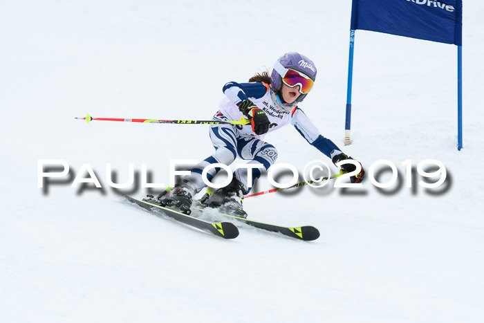 Werdenfelser Kinderskitag. mit Ziener und BZB Cup 2019