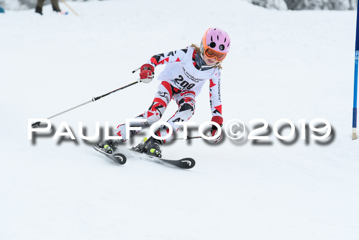 Werdenfelser Kinderskitag. mit Ziener und BZB Cup 2019