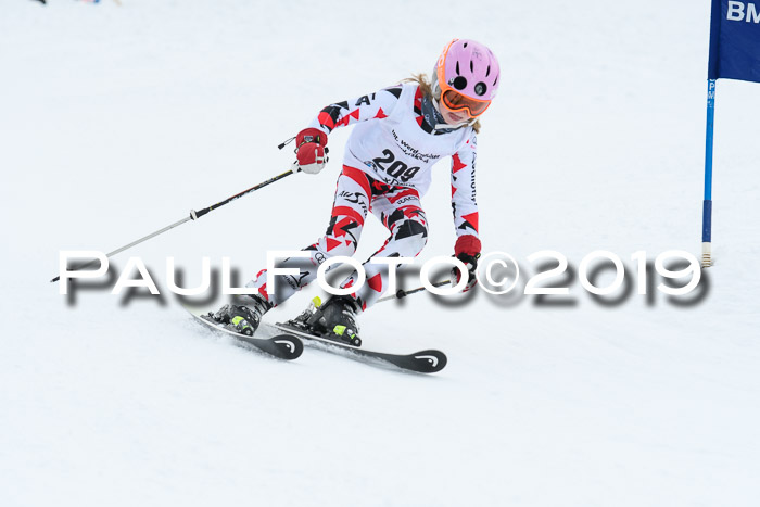 Werdenfelser Kinderskitag. mit Ziener und BZB Cup 2019